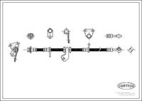 CORTECO 19032901 - Tubo flexible de frenos
