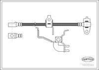 CORTECO 19032982 - Tubo flexible de frenos