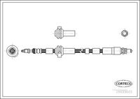 CORTECO 19033605 - Tubo flexible de frenos