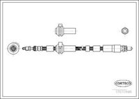 CORTECO 19033606 - Tubo flexible de frenos