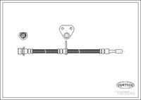 CORTECO 19035040 - Tubo flexible de frenos