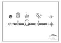 CORTECO 19035041 - Tubo flexible de frenos