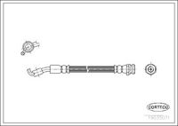 CORTECO 19035071 - Tubo flexible de frenos