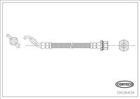 CORTECO 19036439 - Tubo flexible de frenos