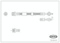 CORTECO 19036441 - Tubo flexible de frenos