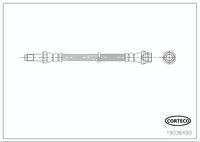 CORTECO 19036490 - Tubo flexible de frenos