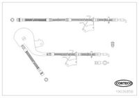 CORTECO 19036856 - Tubo flexible de frenos