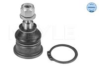 MAGNETI MARELLI ARM971 - Barra oscilante, suspensión de ruedas