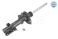 BILSTEIN 24298995 - Suspensión: para vehículos con chasis estándar<br>Suspensión: para vehículos con chasis deportivo<br>Lado de montaje: Eje trasero<br>Tipo de amortiguador: Presión de gas<br>Tipo de amortiguador: amortiguador sin soporte ballesta<br>Tipo de sujeción de amortiguador: Anillo inferior<br>Tipo de sujeción de amortiguador: Espiga arriba<br>Sistema de amortiguadores: Monotubo<br>