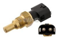 SWAG 55929643 - Sensor, temperatura del refrigerante