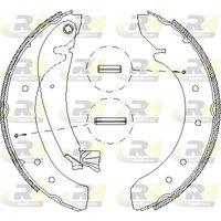 ROADHOUSE 471900 - Lado de montaje: Eje trasero<br>Diámetro [mm]: 254<br>Ancho [mm]: 57<br>Sistema de frenos: Girling<br>Artículo complementario/Información complementaria: con palanca<br>Peso [kg]: 2,845<br>Pastilla de freno: sin forros<br>