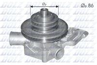 DOLZ C115 - Bomba de agua, refrigeración del motor