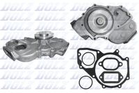 DOLZ M669 - Bomba de agua, refrigeración del motor
