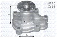 DOLZ O133 - Bomba de agua, refrigeración del motor