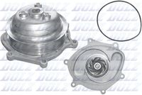 DOLZ P503 - Variante de equipamiento: PV<br>para OE N°: 9A110604801<br>Peso [kg]: 1,0<br>