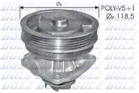 DOLZ S217 - Bomba de agua, refrigeración del motor