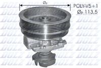 DOLZ S218 - Bomba de agua, refrigeración del motor