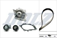 CONTINENTAL CTAM CT1140WP2 - Código de motor: AHX (DW10FD)<br>Código de motor: AHR<DW10FD><br>año construcción hasta: 12/2022<br>Longitud [mm]: 1105<br>Número de dientes: 116<br>Ancho [mm]: 25,4<br>División dientes [mm]: 9,525<br>