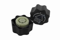 VAICO V420255 - Tapa, radiador - Green Mobility Parts