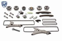 Schaeffler INA 558004210 - Kit cadenas, accionamiento bomba aceite