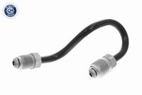 FEBI BILSTEIN 172799 - Código de motor: CLRA<br>Código de motor: CFNA<br>Código de motor: CLRA<br>Frenos: para vehículos con freno de disco en eje trasero<br>Referencia artículo par: 172799<br>Ancho de llave: 12<br>Material: Acero<br>Lado de montaje: Atrás derecha<br>Peso [kg]: 0,030<br>