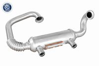 FLAMAR EEF140037VW - Elemento enfriador, reciclaje gases escape - Genuine