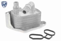 VEMO V20600031 - Radiador de aceite, aceite motor - EXPERT KITS +