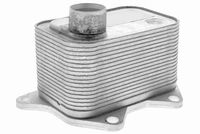 VEMO V15600015 - Radiador de aceite, aceite motor - Green Mobility Parts