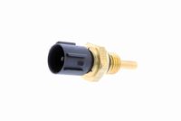 VEMO V26720002 - Color de conector: negro<br>Forma del enchufe: redondo<br>Número de enchufes de contacto: 2<br>Tipo de sensor: NTC<br>Ancho de llave: 19 mm<br>Rosca exterior [mm]: M 12x1,5<br>para OE N°: 37870 PJ7 003<br>para OE N°: MEK100070<br>Calidad: OE EQUIVALENT<br>