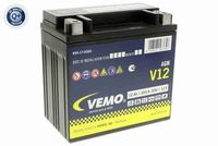 VEMO V99170060 - Equipamiento de vehículo: para vehículos con sistema Start-Stop y recuperación<br>Talón de sujeción: B13<br>Tensión [V]: 12<br>Capacidad de la batería [Ah]: 82<br>Altura [mm]: 190<br>Ancho [mm]: 175<br>Longitud [mm]: 315<br>Corriente de arranque en frío, EN [A]: 800<br>Esquema de bornes: 0<br>