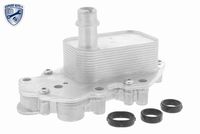 VEMO V40602102 - Radiador de aceite, aceite motor - EXPERT KITS +