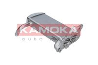 KAMOKA 19C069 - Elemento enfriador, reciclaje gases escape