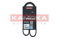 KAMOKA 7014048 - Correa trapecial poli V