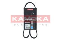 KAMOKA 7014053 - Correa trapecial poli V