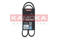 KAMOKA 7014059 - año construcción hasta: 07/1987<br>Unidades accionadas: Bomba de la dirección asistida<br>Material: EPDM (Ethylen-Propylen-Dien-Caucho)<br>Longitud [mm]: 875<br>Número de nervaduras: 4<br>