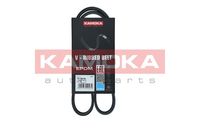 KAMOKA 7015019 - Correa trapecial poli V