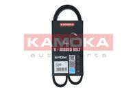 KAMOKA 7015022 - año construcción desde: 03/1998<br>Unidades accionadas: Compresor de climatización<br>Material: EPDM (Ethylen-Propylen-Dien-Caucho)<br>Longitud [mm]: 865<br>Ancho [mm]: 17<br>Número de nervaduras: 5<br>