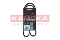 KAMOKA 7015024 - Correa trapecial poli V