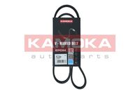 KAMOKA 7015029 - Correa trapecial poli V