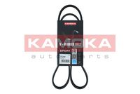 KAMOKA 7015036 - Correa trapecial poli V