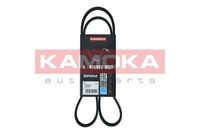 KAMOKA 7015044 - Correa trapecial poli V