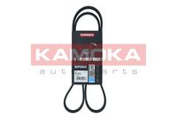 KAMOKA 7015050 - Correa trapecial poli V