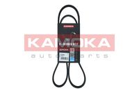 KAMOKA 7015053 - Correa trapecial poli V