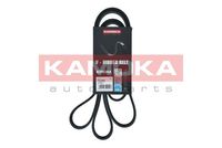 KAMOKA 7015084 - Correa trapecial poli V