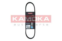 KAMOKA 7016003 - Unidades accionadas: Alternador<br>Equipamiento de vehículo: para vehículos con climatizador<br>Material de las bielas: Poliéster<br>Material de las correas: EPDM (Ethylen-Propylen-Dien-Caucho)<br>Color: negro<br>Número de nervaduras: 7<br>Ancho [mm]: 24<br>Longitud [mm]: 2425<br>