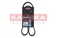 KAMOKA 7016034 - Correa trapecial poli V