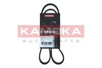 KAMOKA 7016041 - Unidades accionadas: Alternador<br>Material: EPDM (Ethylen-Propylen-Dien-Caucho)<br>Longitud [mm]: 1030<br>Número de nervaduras: 6<br>