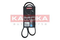 KAMOKA 7016044 - Correa trapecial poli V