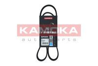 KAMOKA 7016047 - Correa trapecial poli V