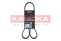 KAMOKA 7016053 - Correa trapecial poli V